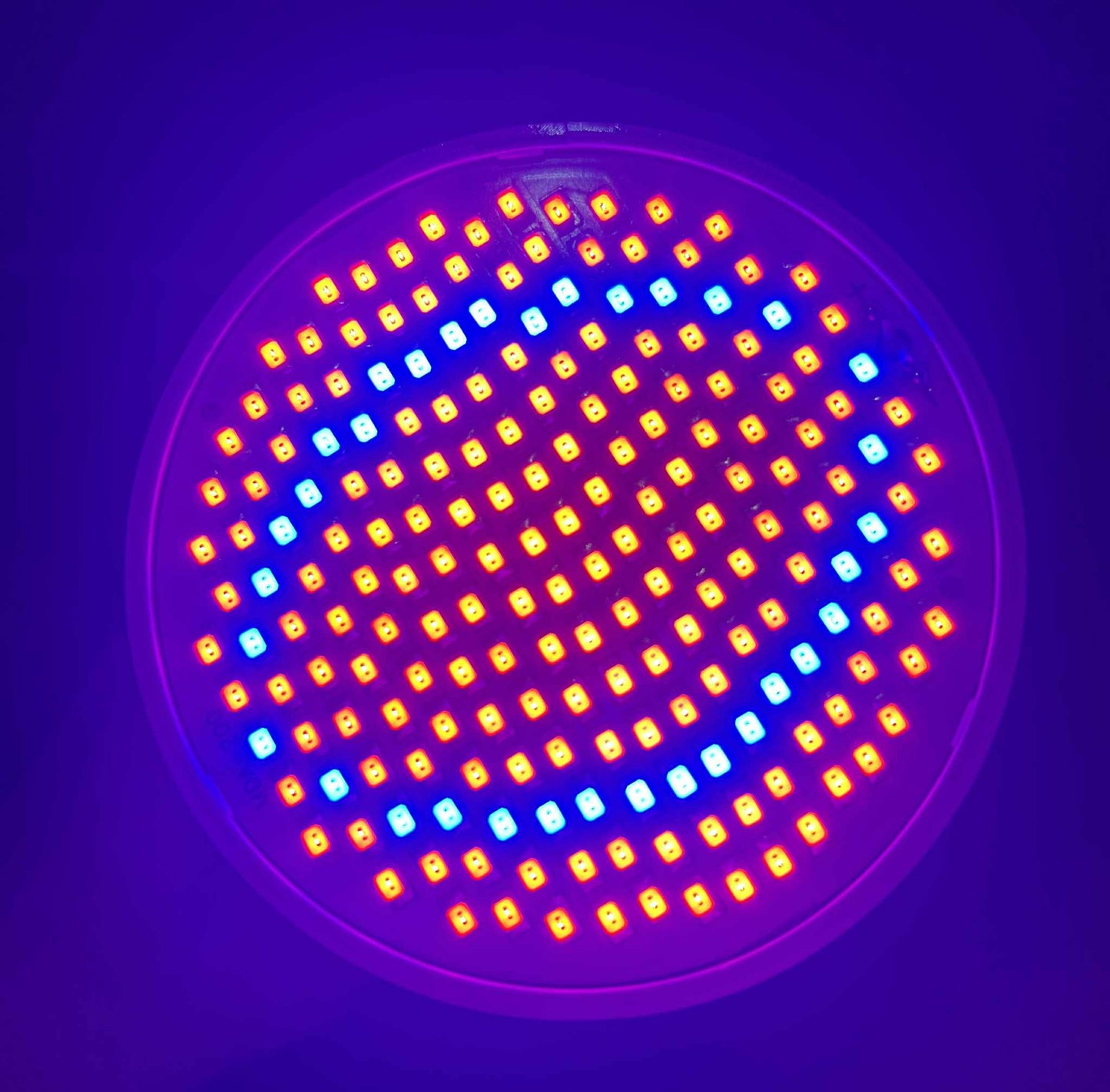 Blumired Therapy Lamp